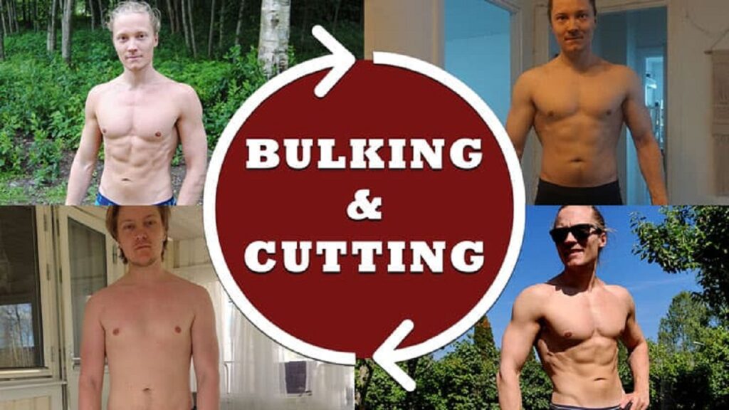 bulking-and-cutting-cycle