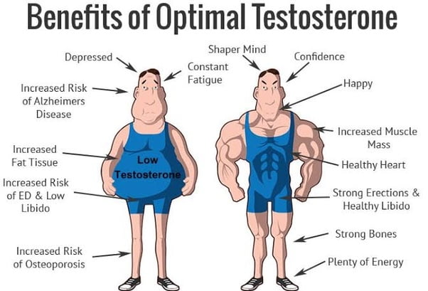 Testosterone Level Results