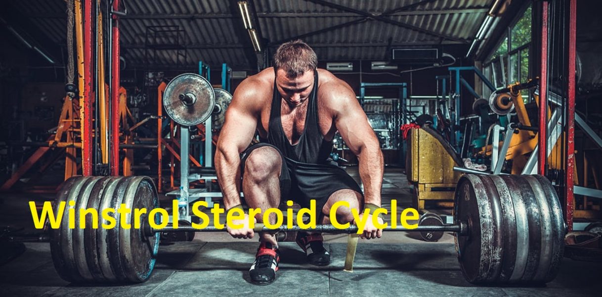 Winstrol Steroid Cycle