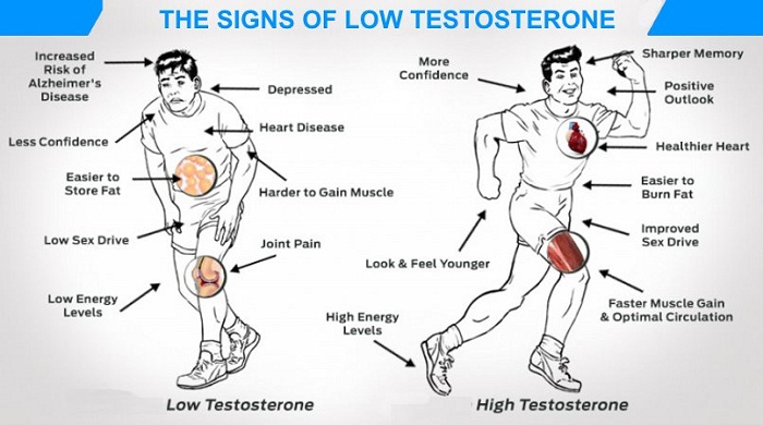 Typical Low Testosterone Symptoms