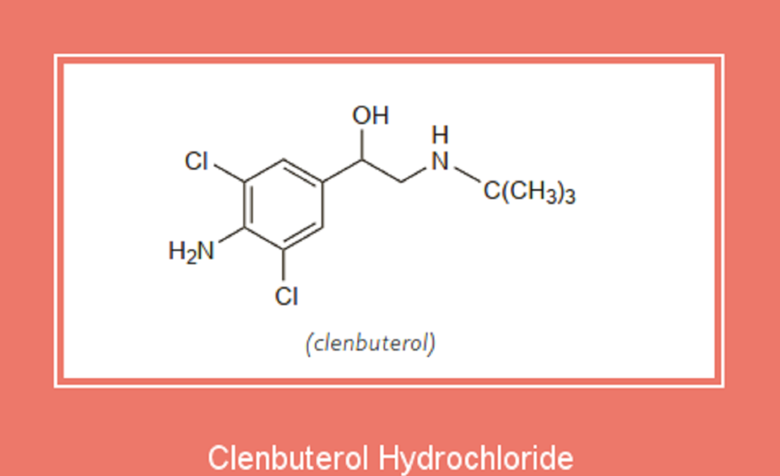 Clenbuterol Hydrochloride