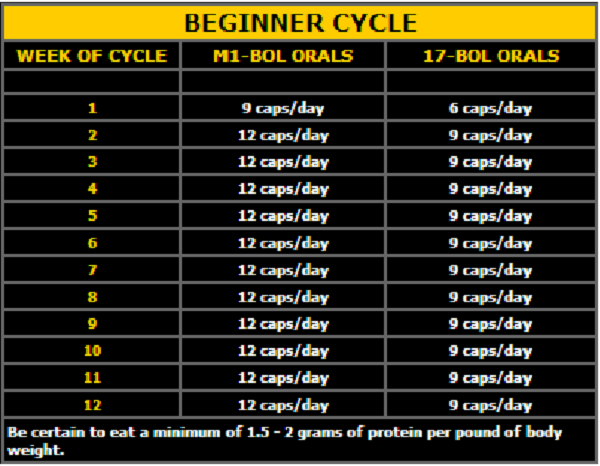 Post Cycle Therapy Chart