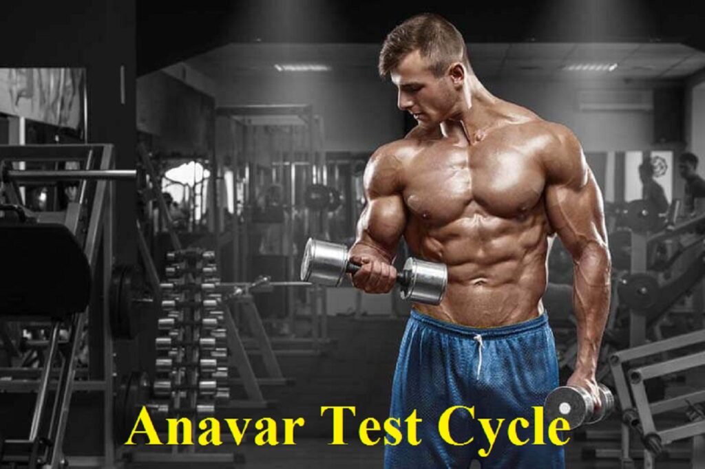 Anavar And Test Cycle