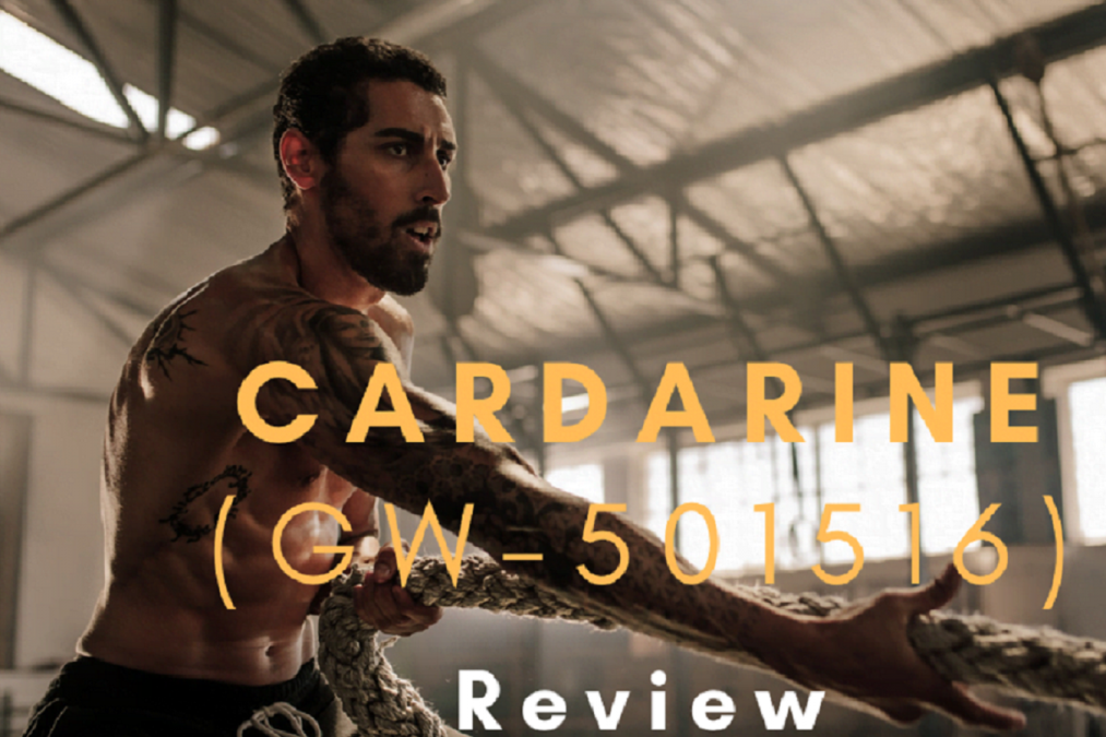 Cardarine GW-501516 Review | Uses, Benefits, Side Effects, And Before After Results 1