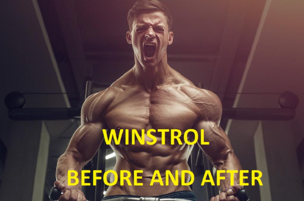 Winstrol Before And After