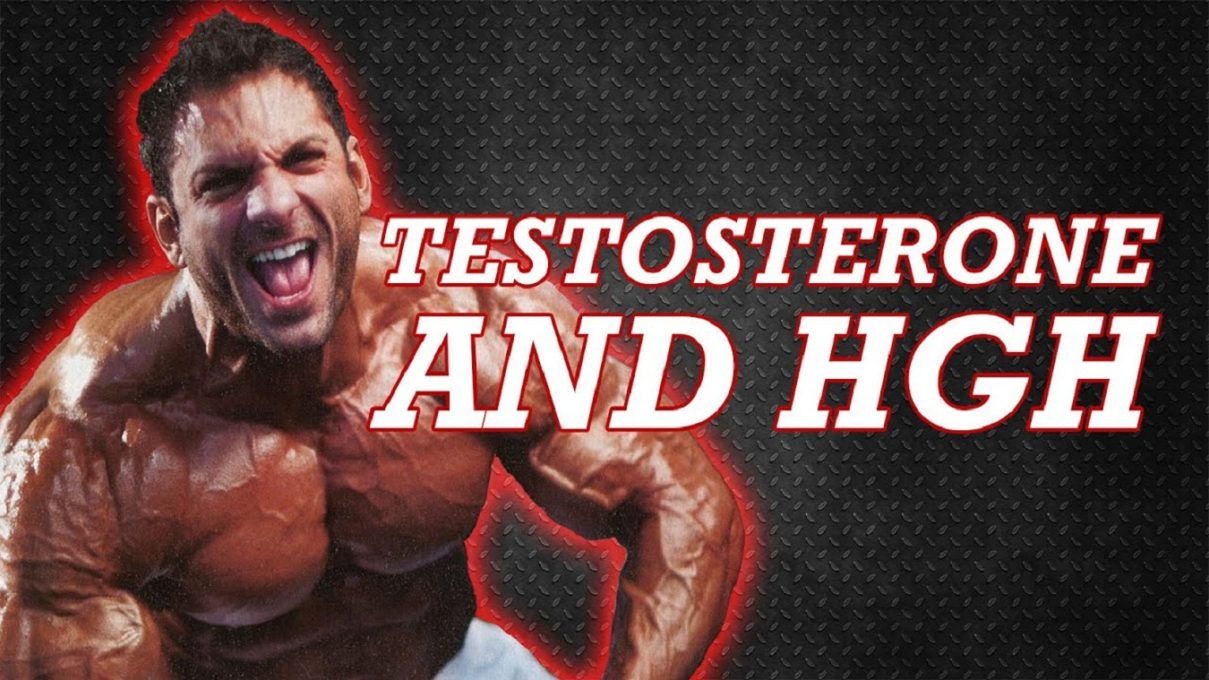 HgH And Testosterone Cycle Stack