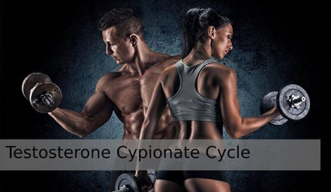 Testosterone Cypionate Cycle