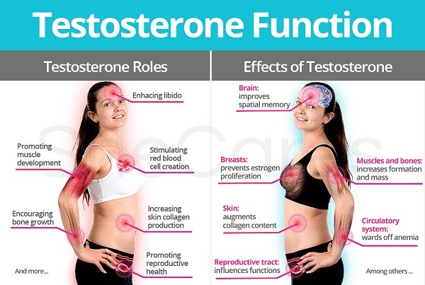 testosterone effects on women