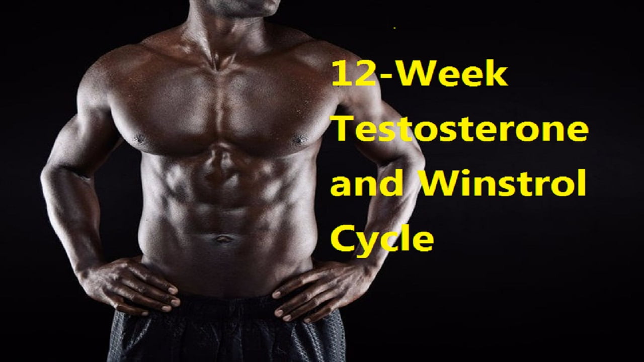 12-Week Testosterone and Winstrol Cycle