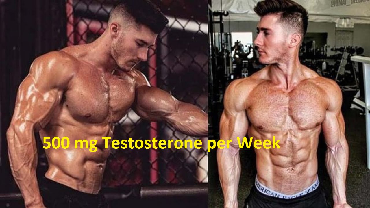 500 mg Testosterone per Week