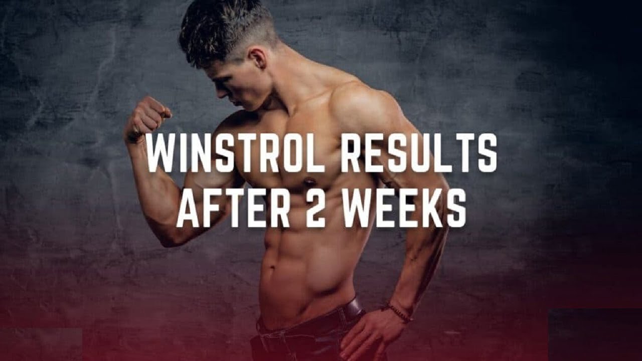 Winstrol Results After 2 Weeks