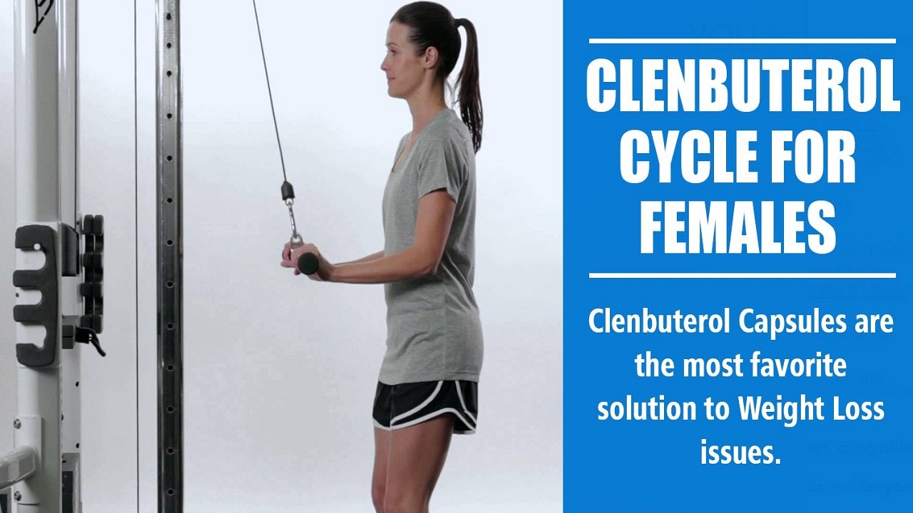 Female Clenbuterol Cycle