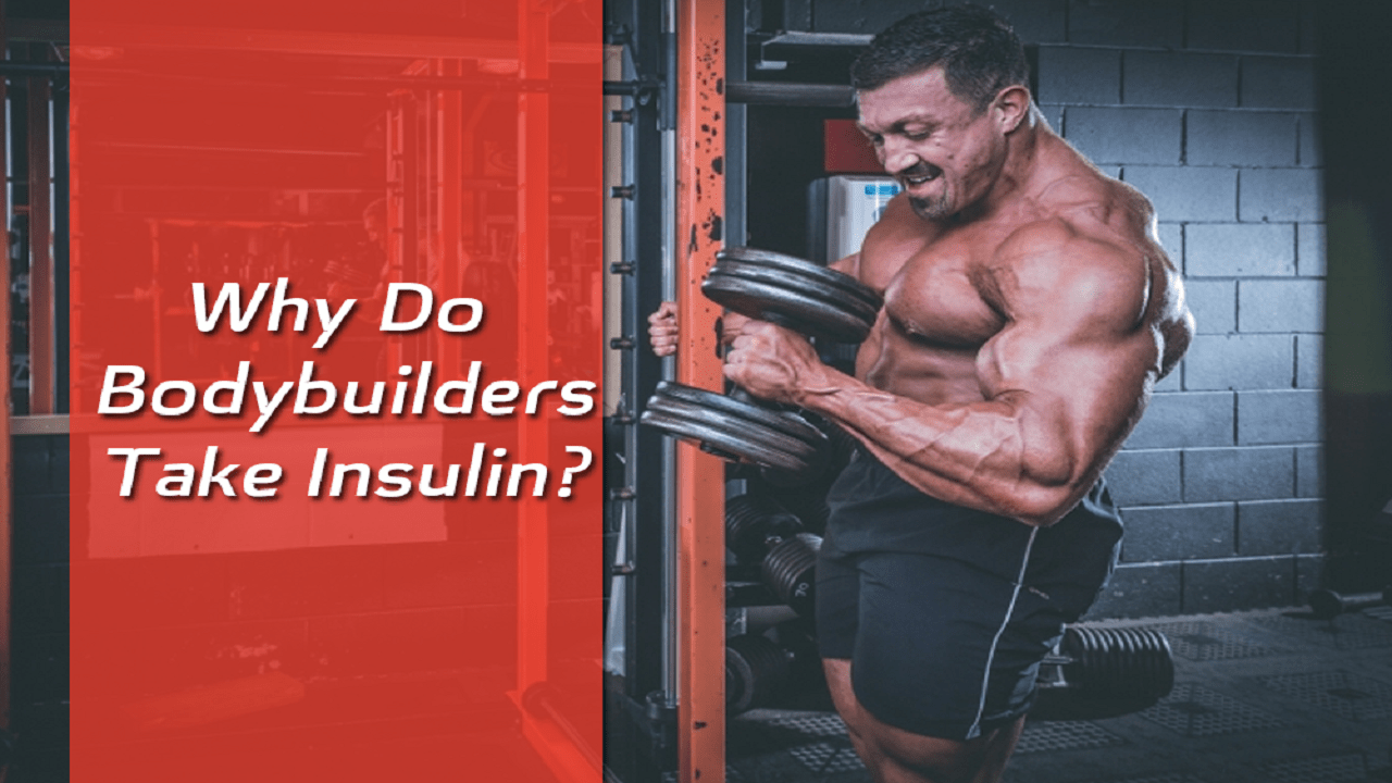 Why Do Bodybuilders Take Insulin