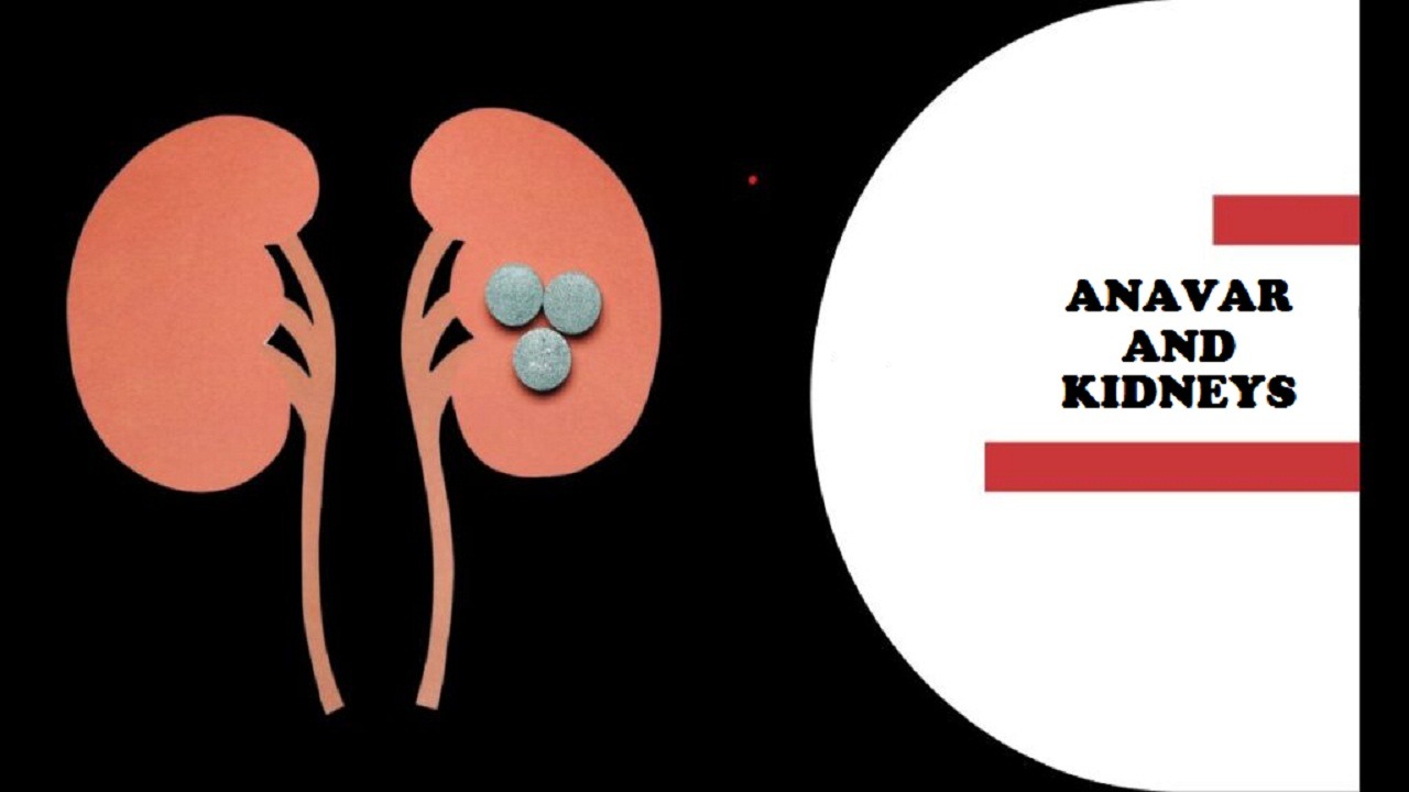 Anavar and Kidneys