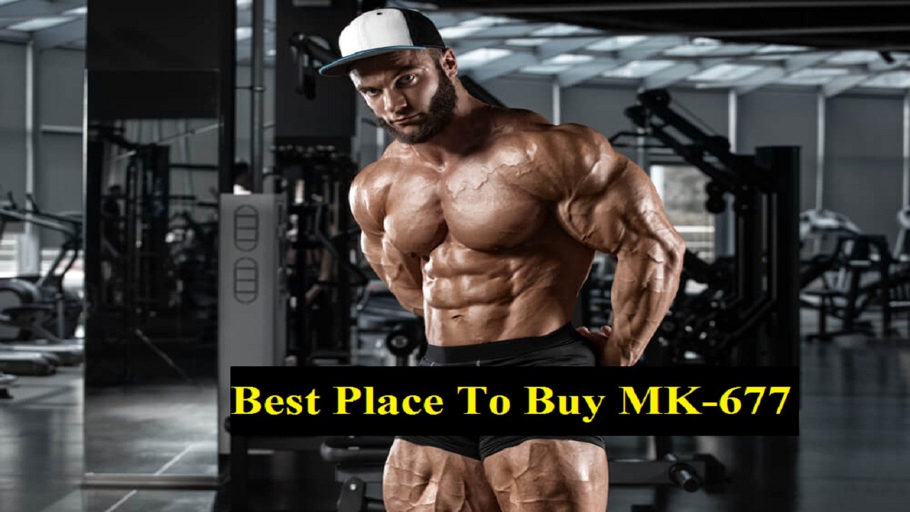 Best Place to Buy MK-677