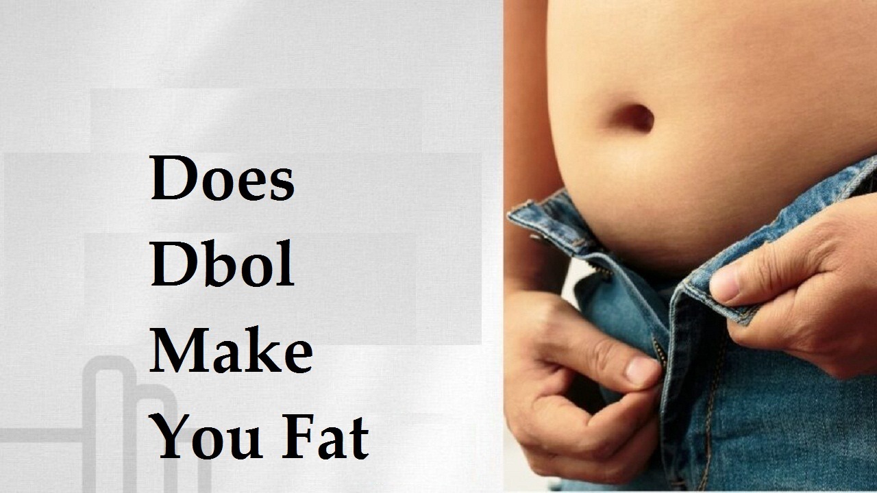 Does Dbol Make You Fat