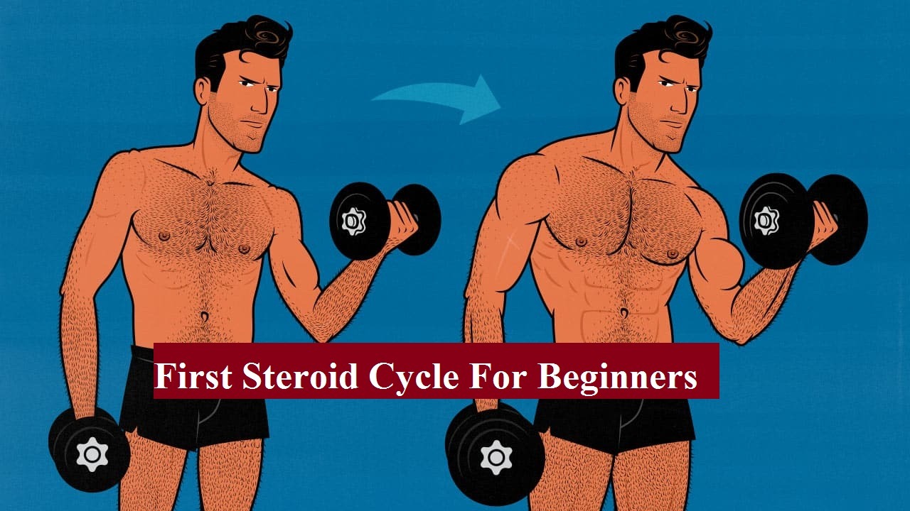 First Steroid Cycle for Beginners