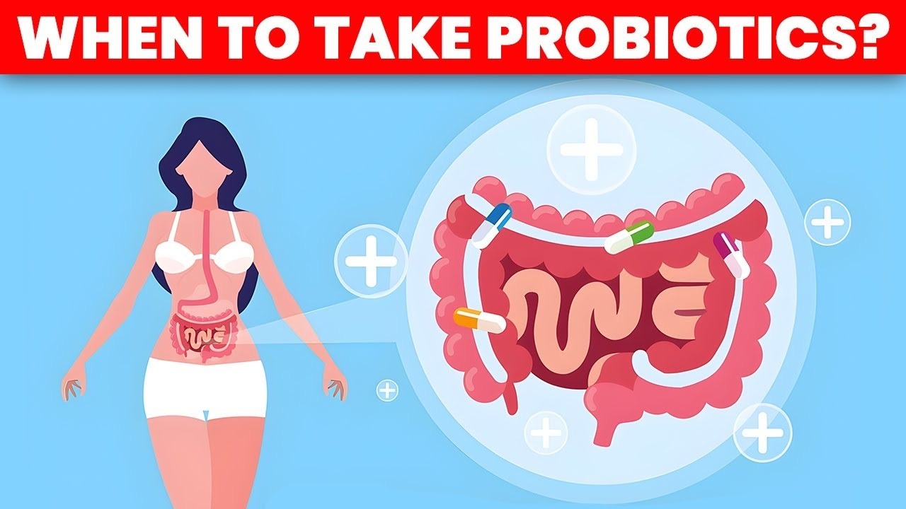 How Often Should You Take Probiotics