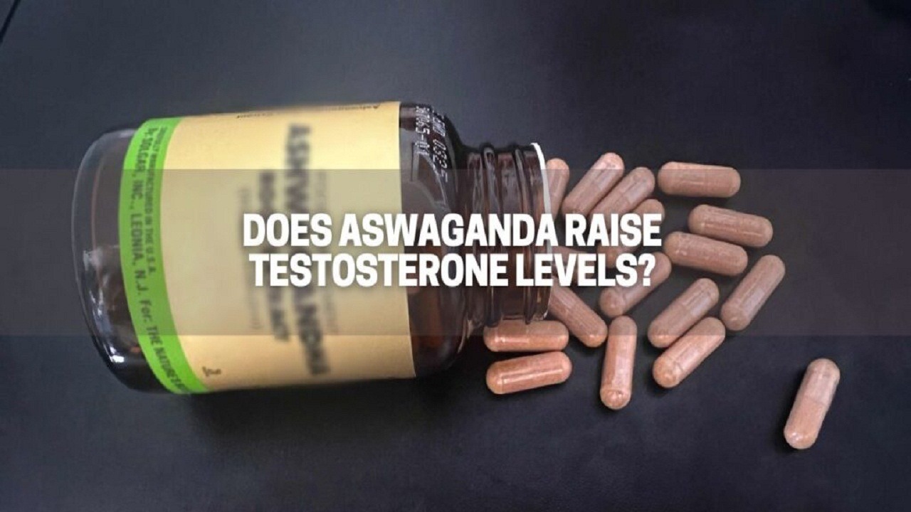 Ashwagandha and Testosterone