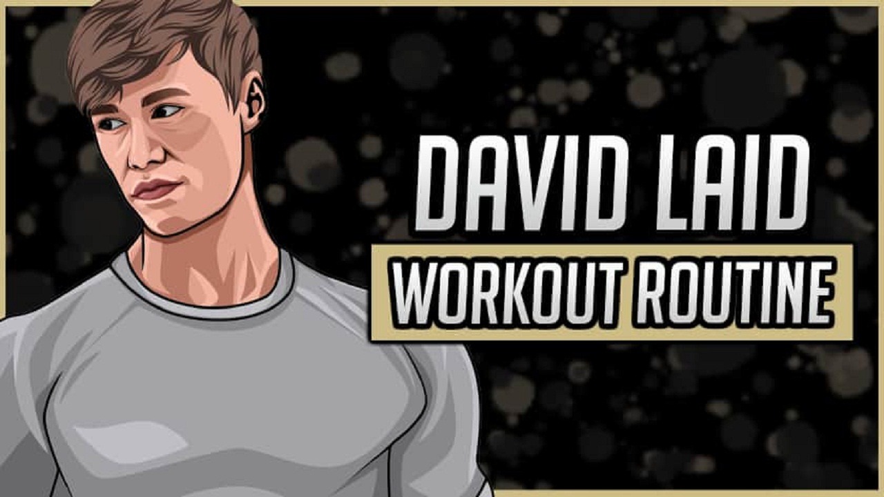David Laid Workout Routine