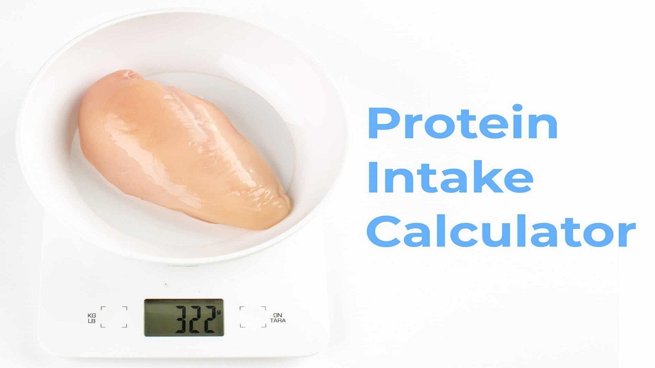 Protein Intake Calculator